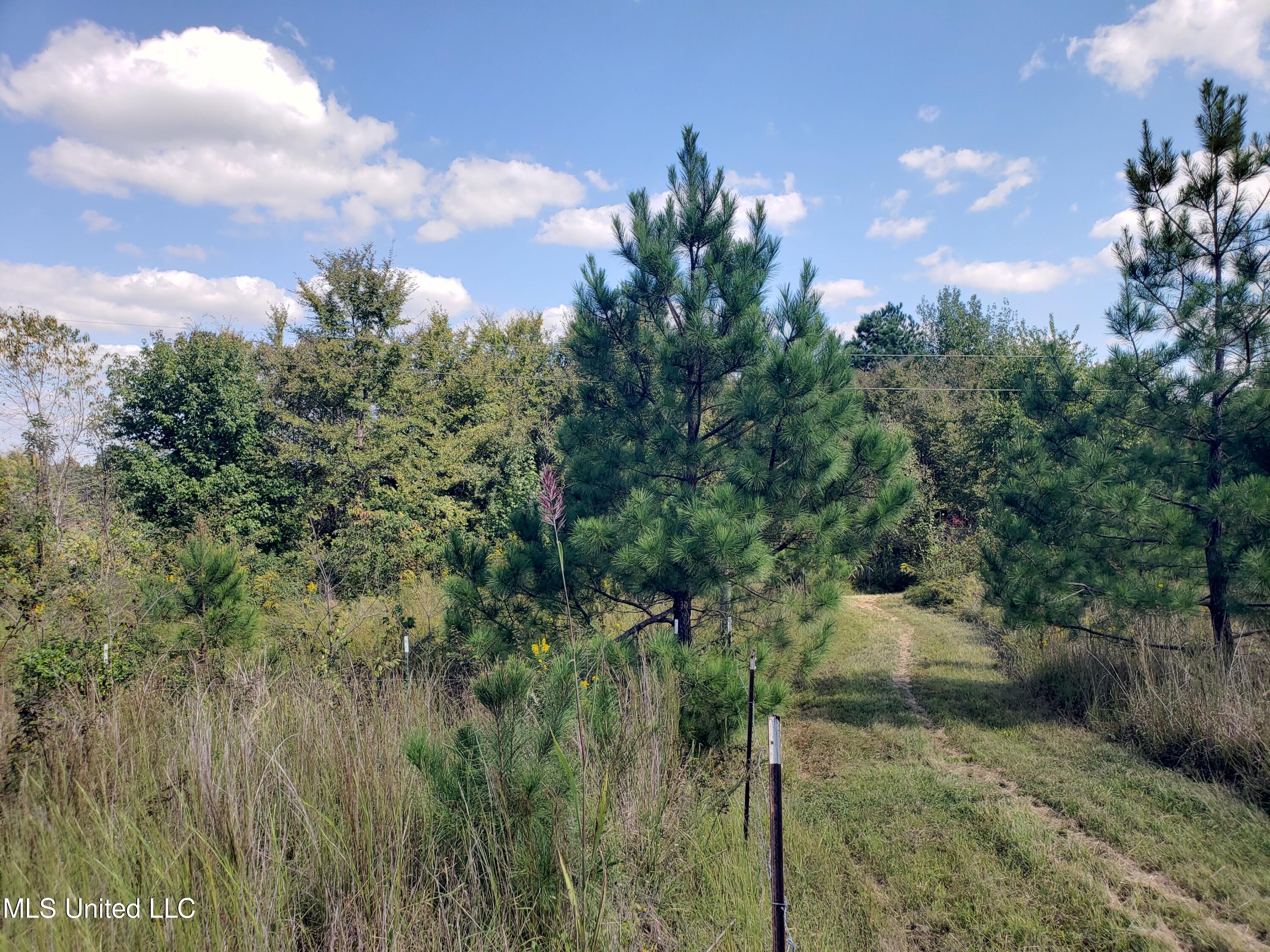 Winding Creek Circle, Lamar, Mississippi image 8