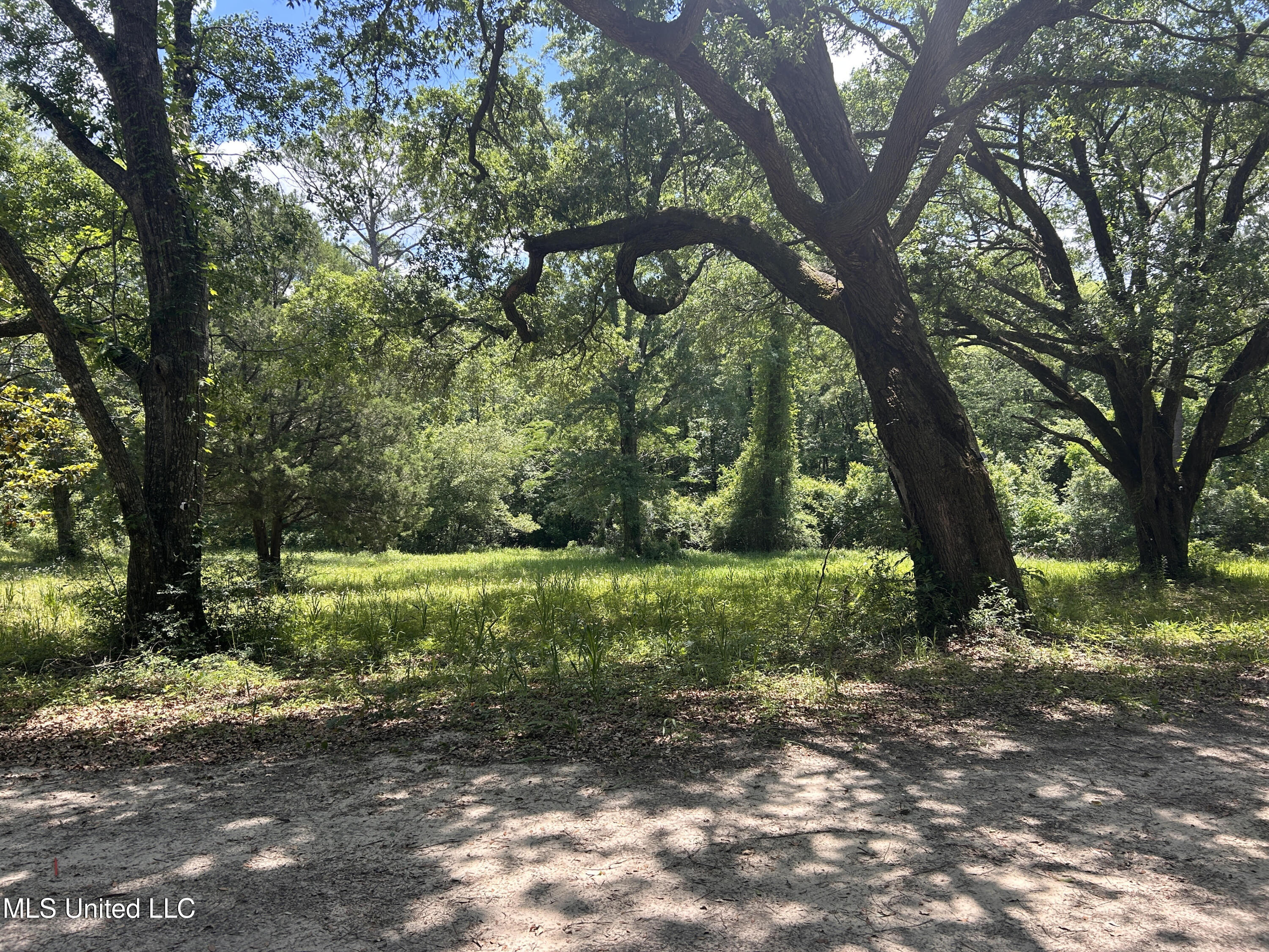 8297 Highway 198 E, Lucedale, Mississippi image 1