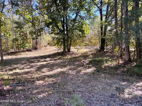 Vacant Land For Sale - County Road 211<br/> Carrollton, MS 38917