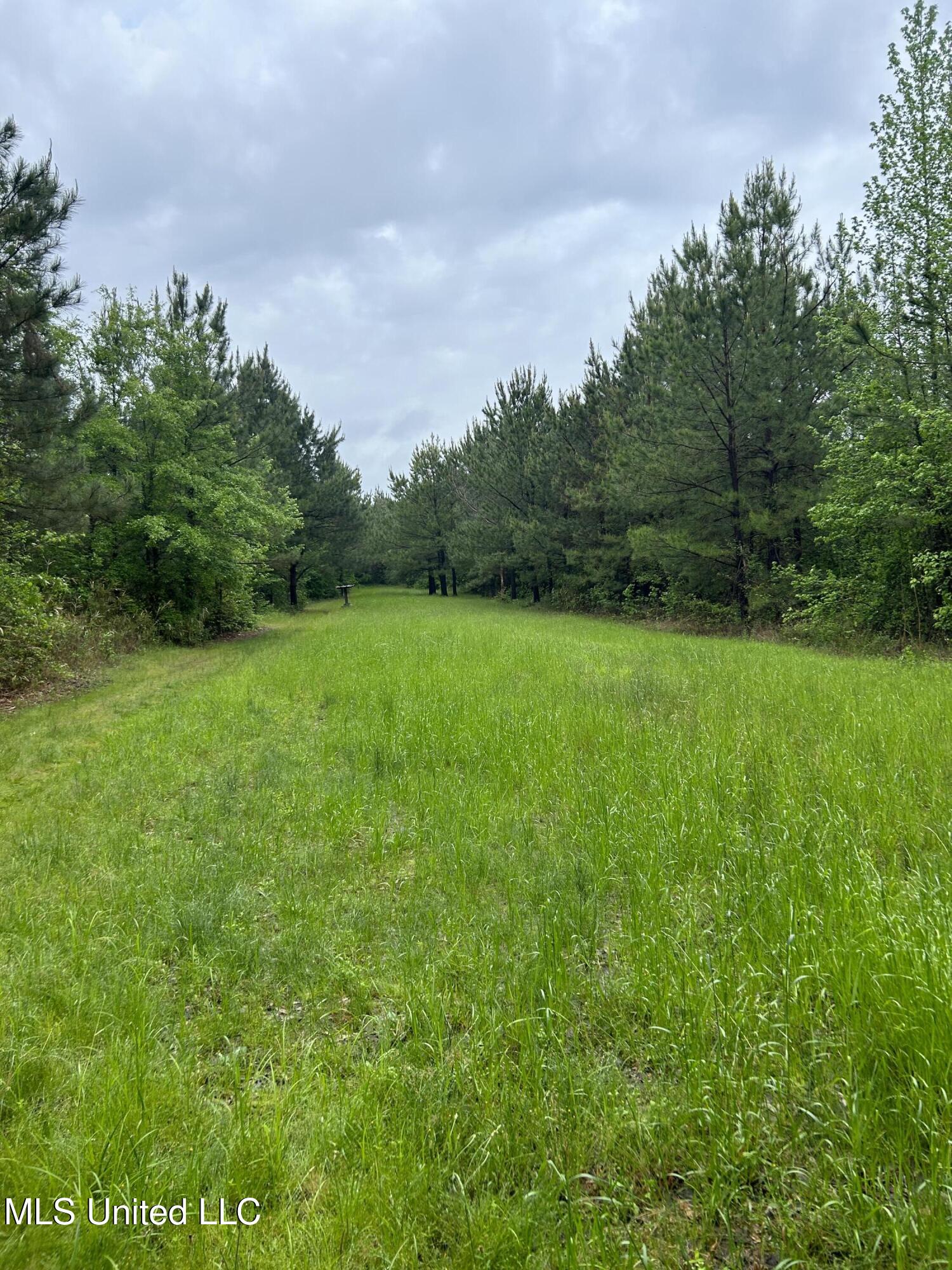 Bethlehem Road, Lauderdale, Mississippi image 13