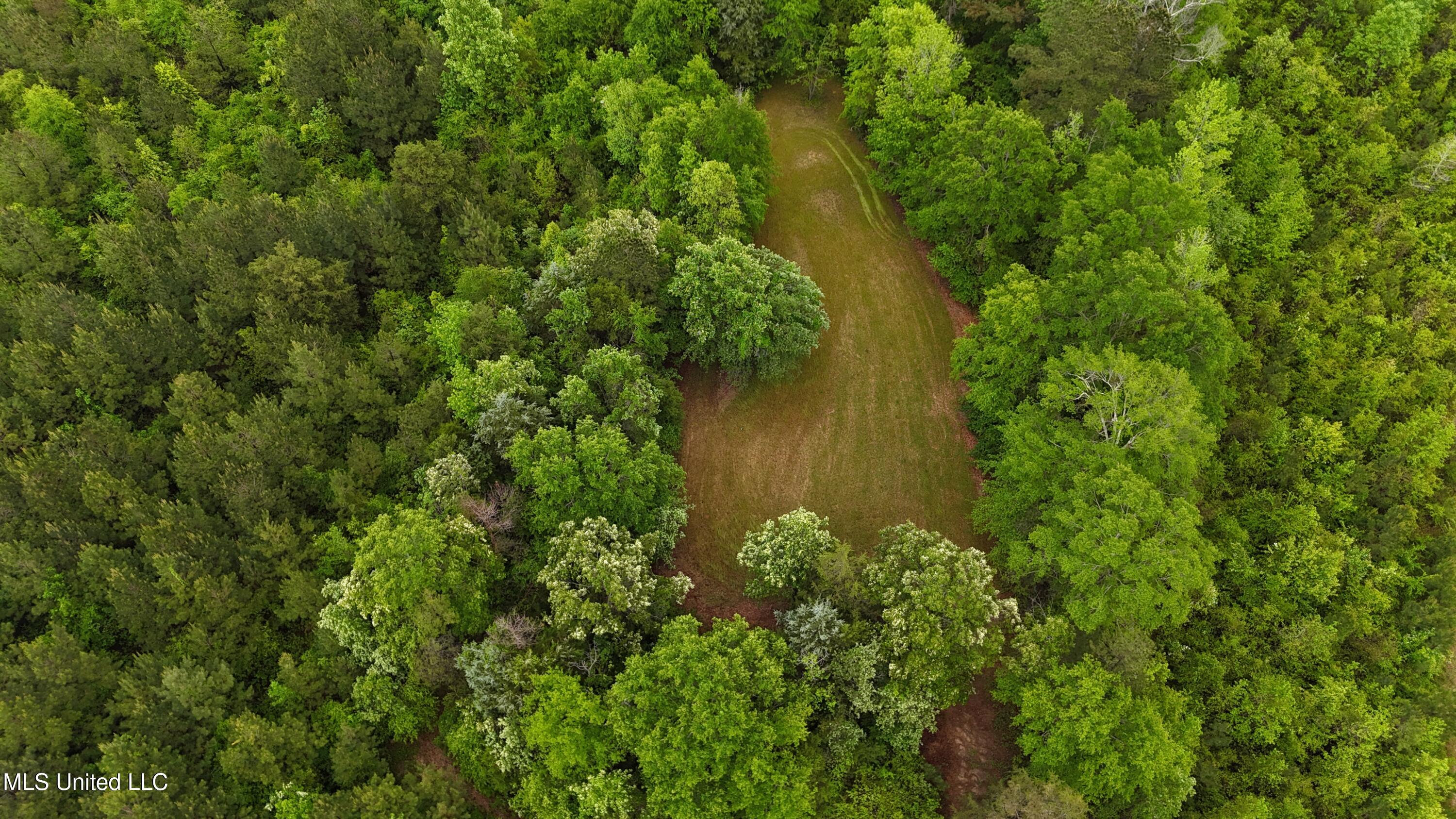 Bethlehem Road, Lauderdale, Mississippi image 6