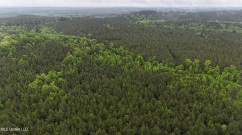 Vacant Land For Sale - Bethlehem Road<br/> Lauderdale County, Lauderdale, MS 39335