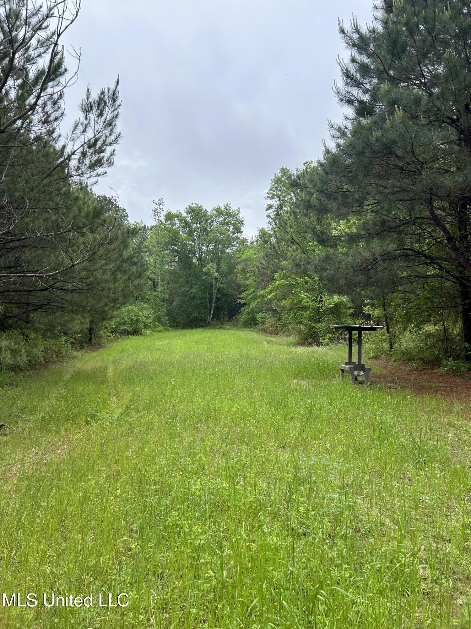 Bethlehem Road, Lauderdale, Mississippi image 11