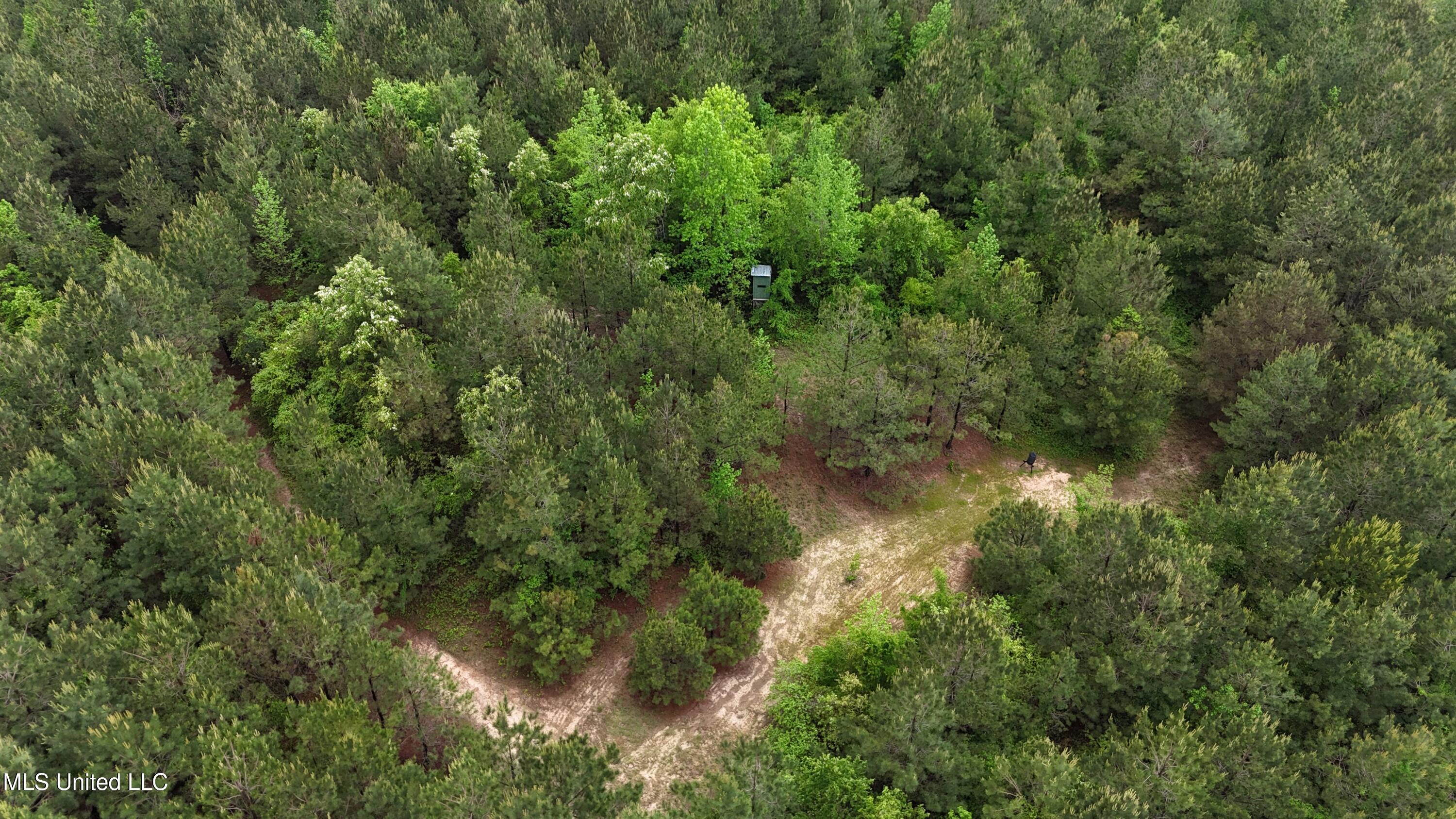 Bethlehem Road, Lauderdale, Mississippi image 7