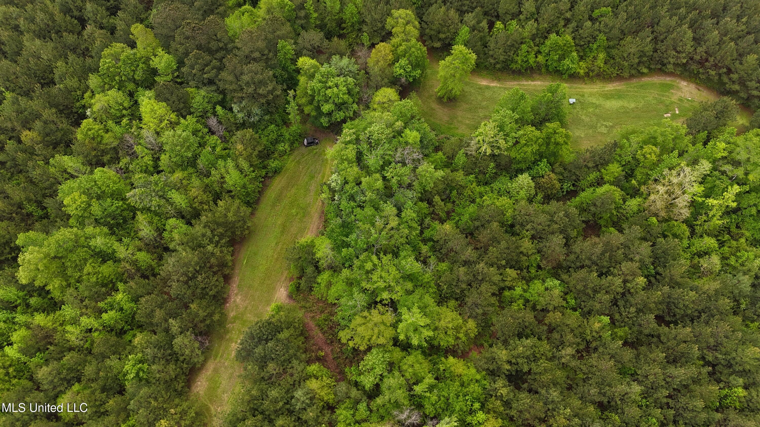Bethlehem Road, Lauderdale, Mississippi image 2