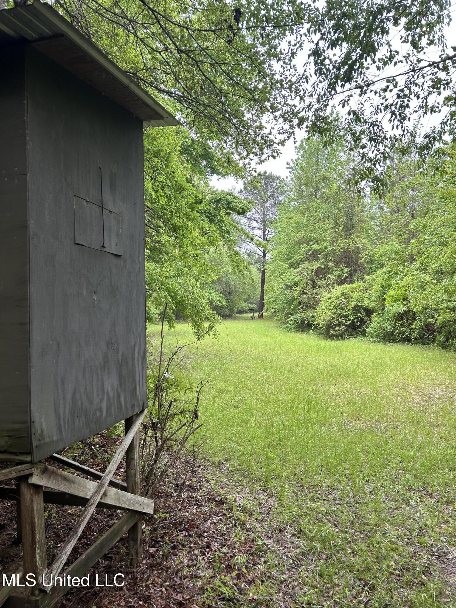 Bethlehem Road, Lauderdale, Mississippi image 9