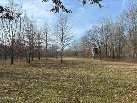 Vacant Land For Sale - Hwy 278<br/> Quitman County, Marks, MS 38646