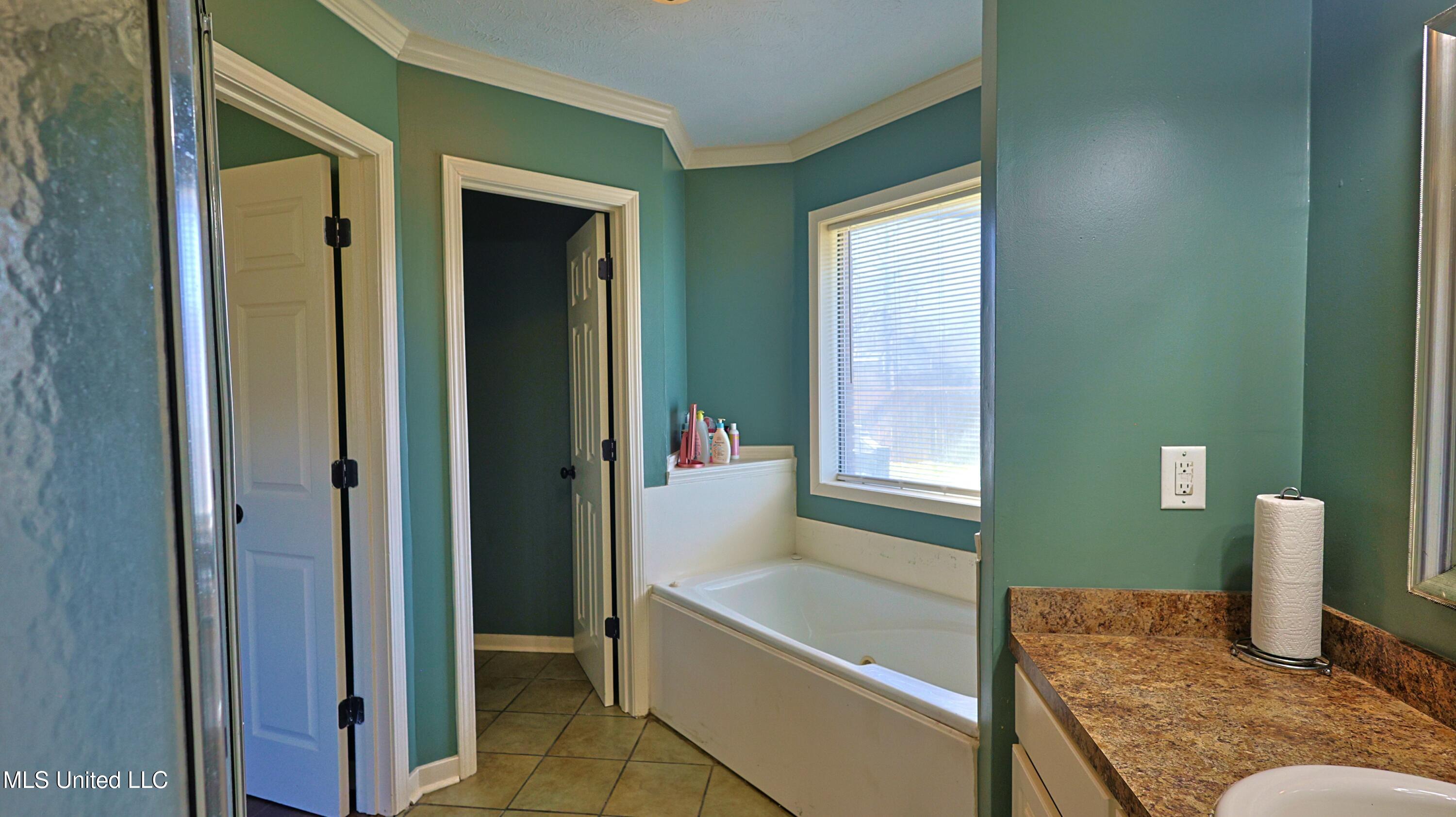 937 W Lake Dockery Drive, Byram, Mississippi image 15