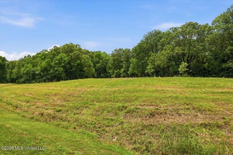 Vacant Land For Sale - 177 Chestnut Hill Road<br/> Flora, MS 39071