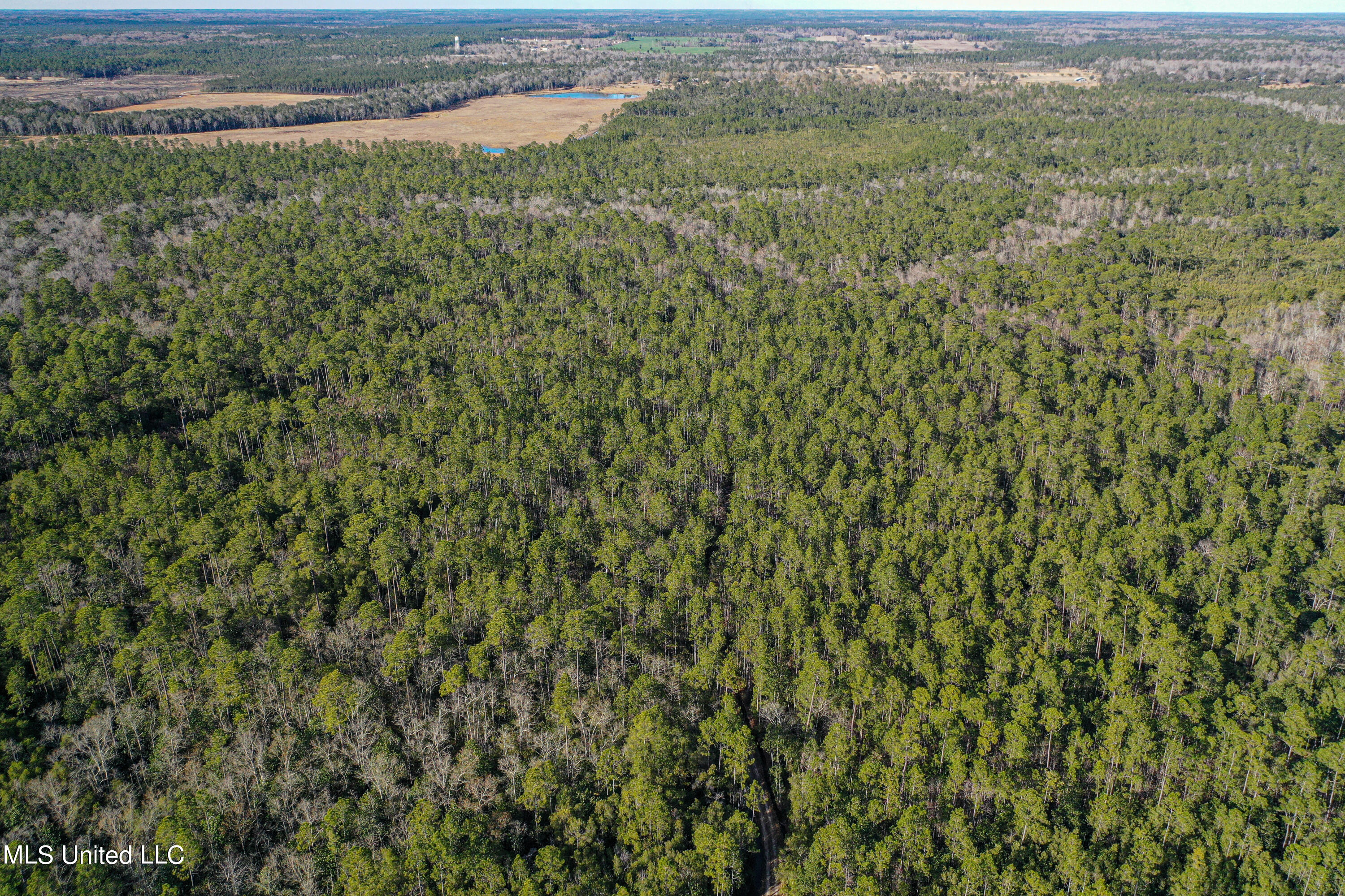 Gavin Hamilton Rd, Moss Point, Mississippi image 11