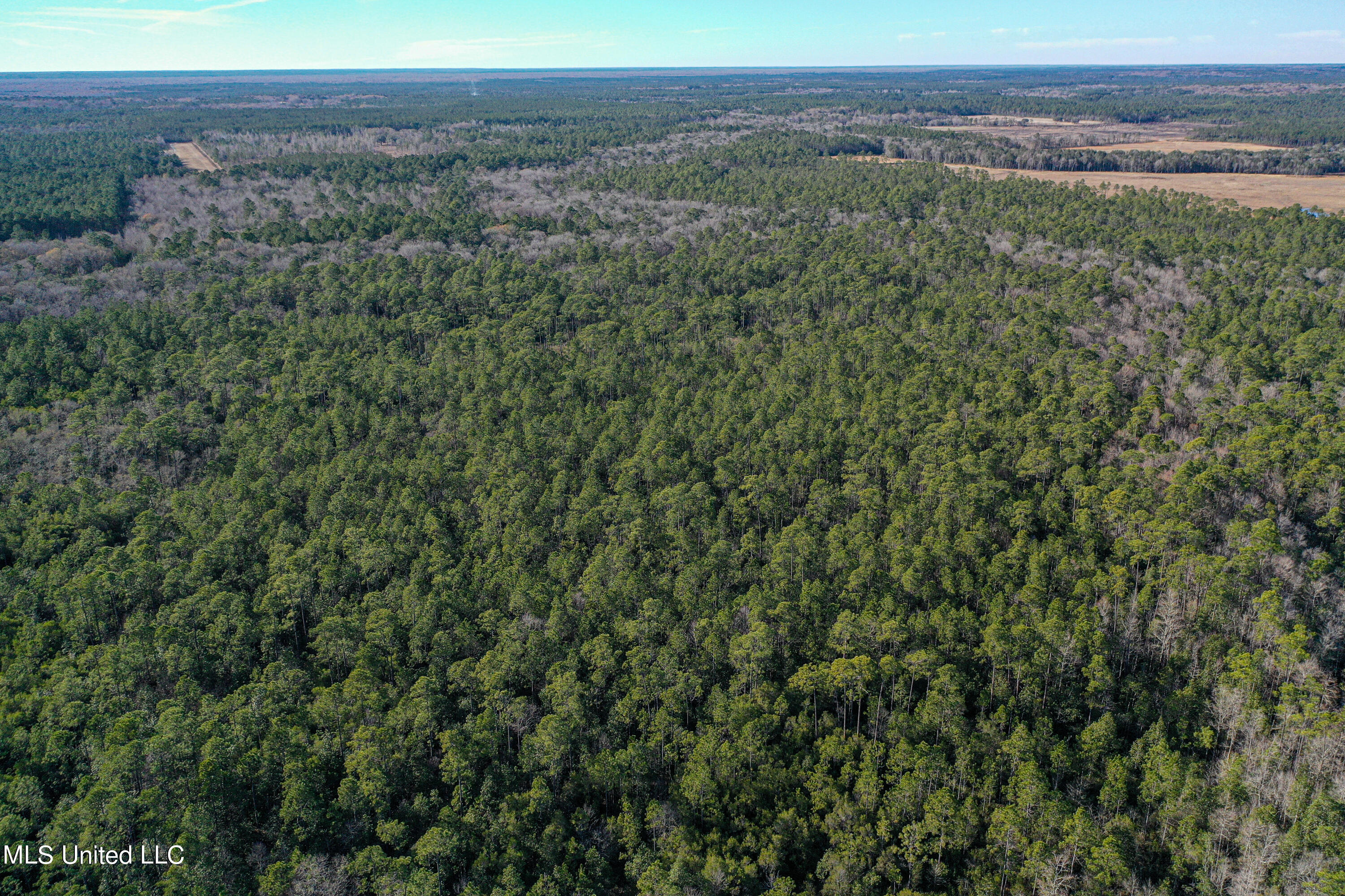 Gavin Hamilton Rd, Moss Point, Mississippi image 5