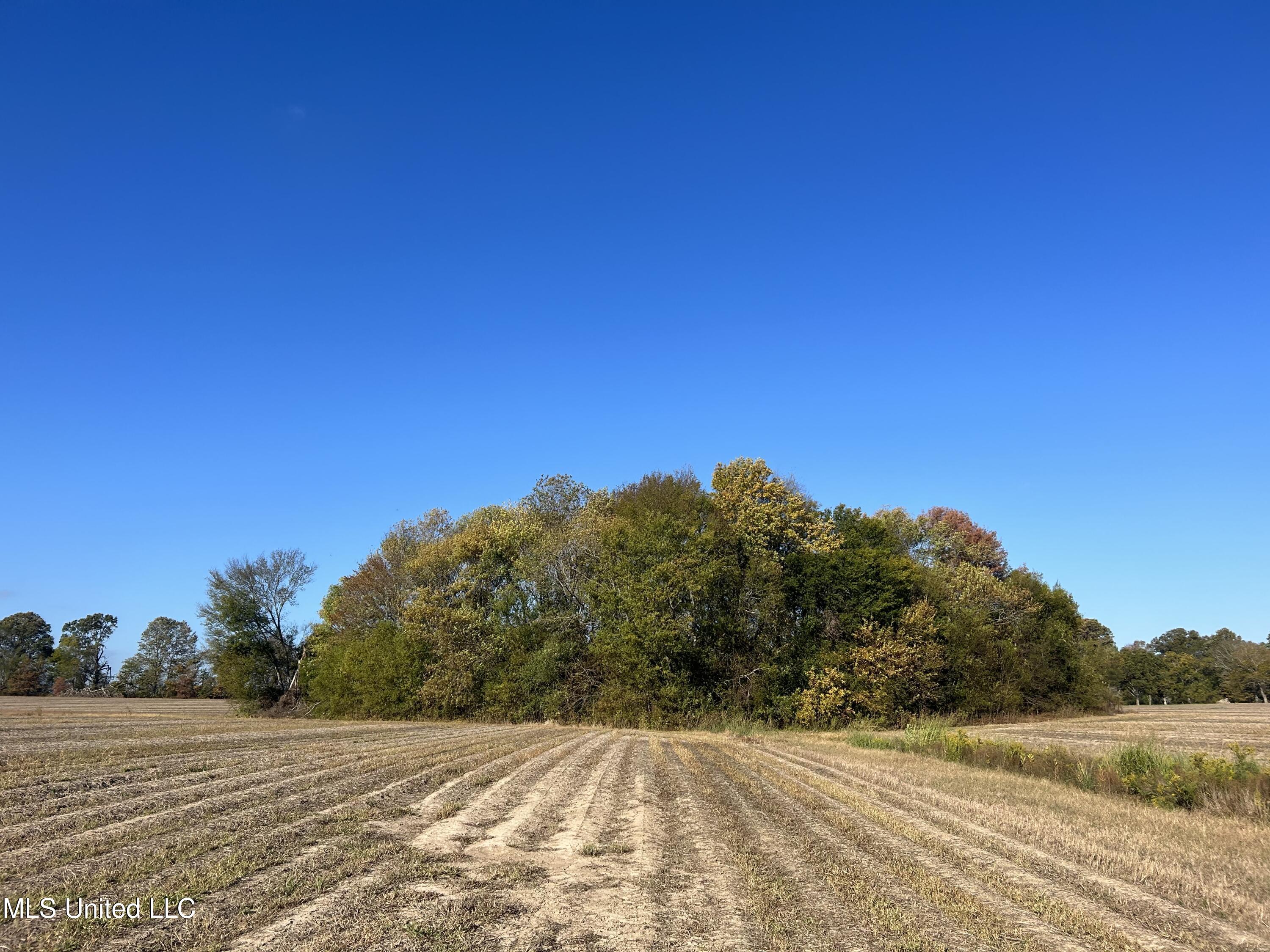 Old Hwy 43, Pelahatchie, Mississippi image 8