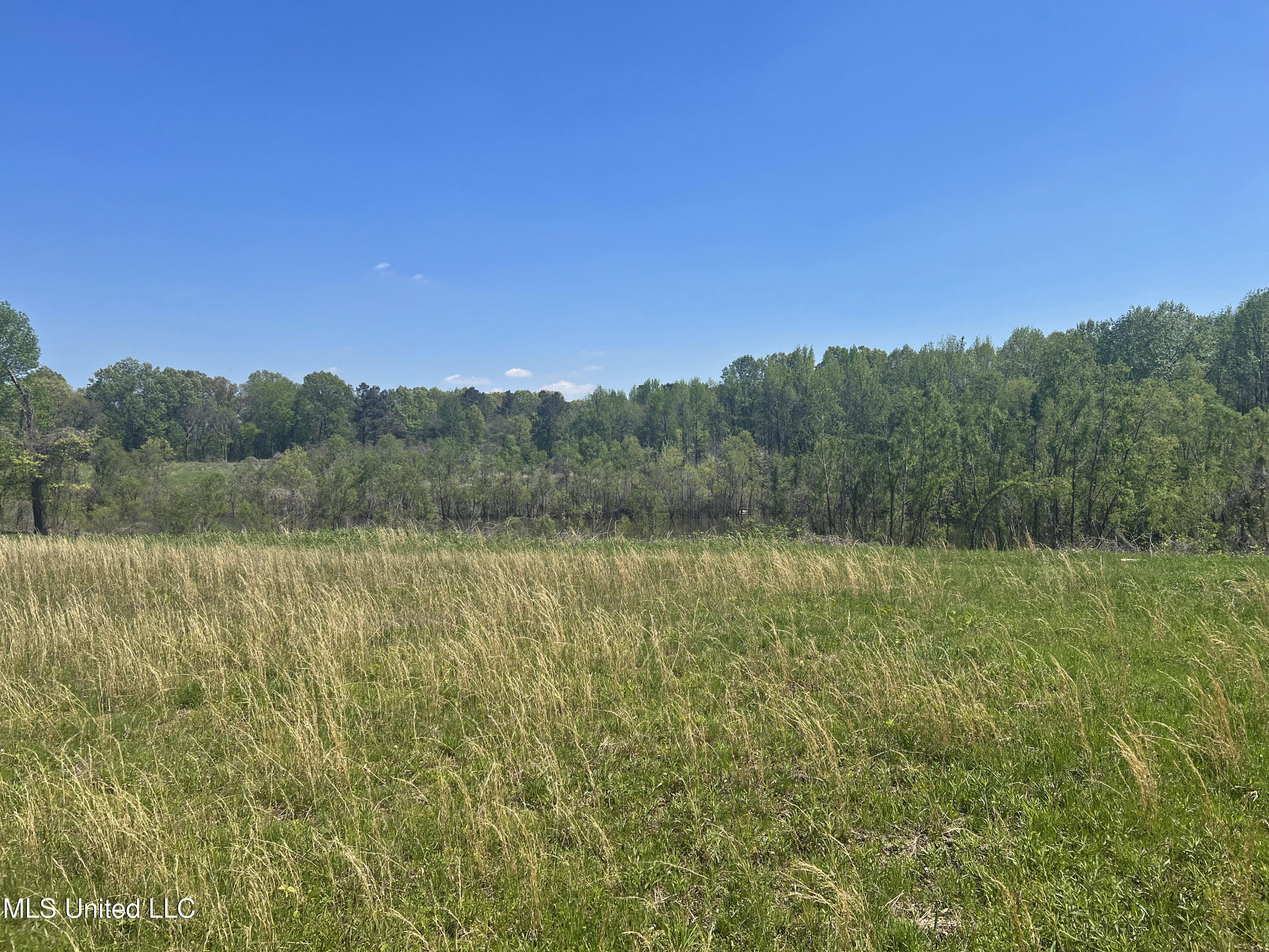 Highway 301s, Hernando, Mississippi image 12