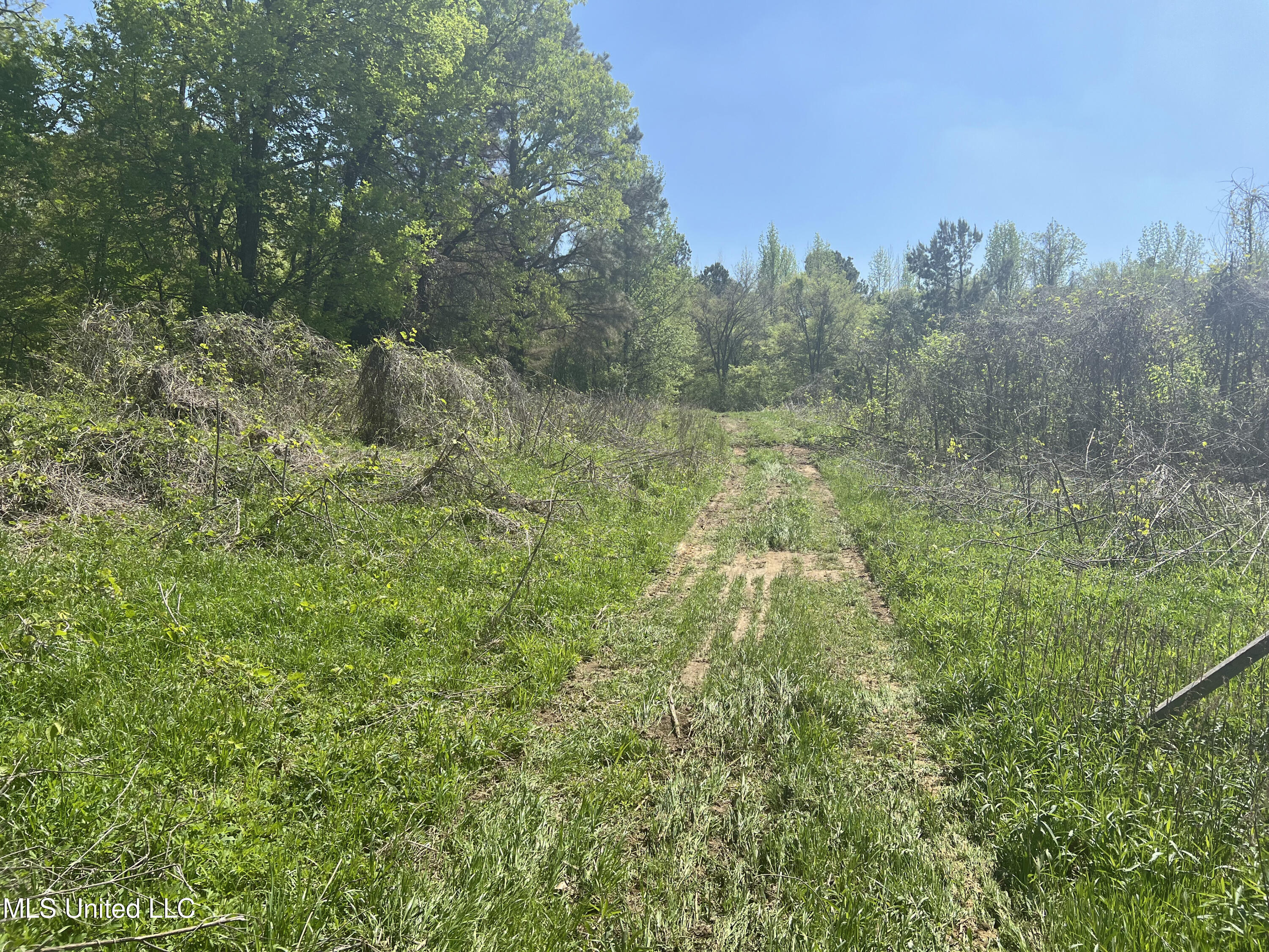 Highway 301s, Hernando, Mississippi image 16
