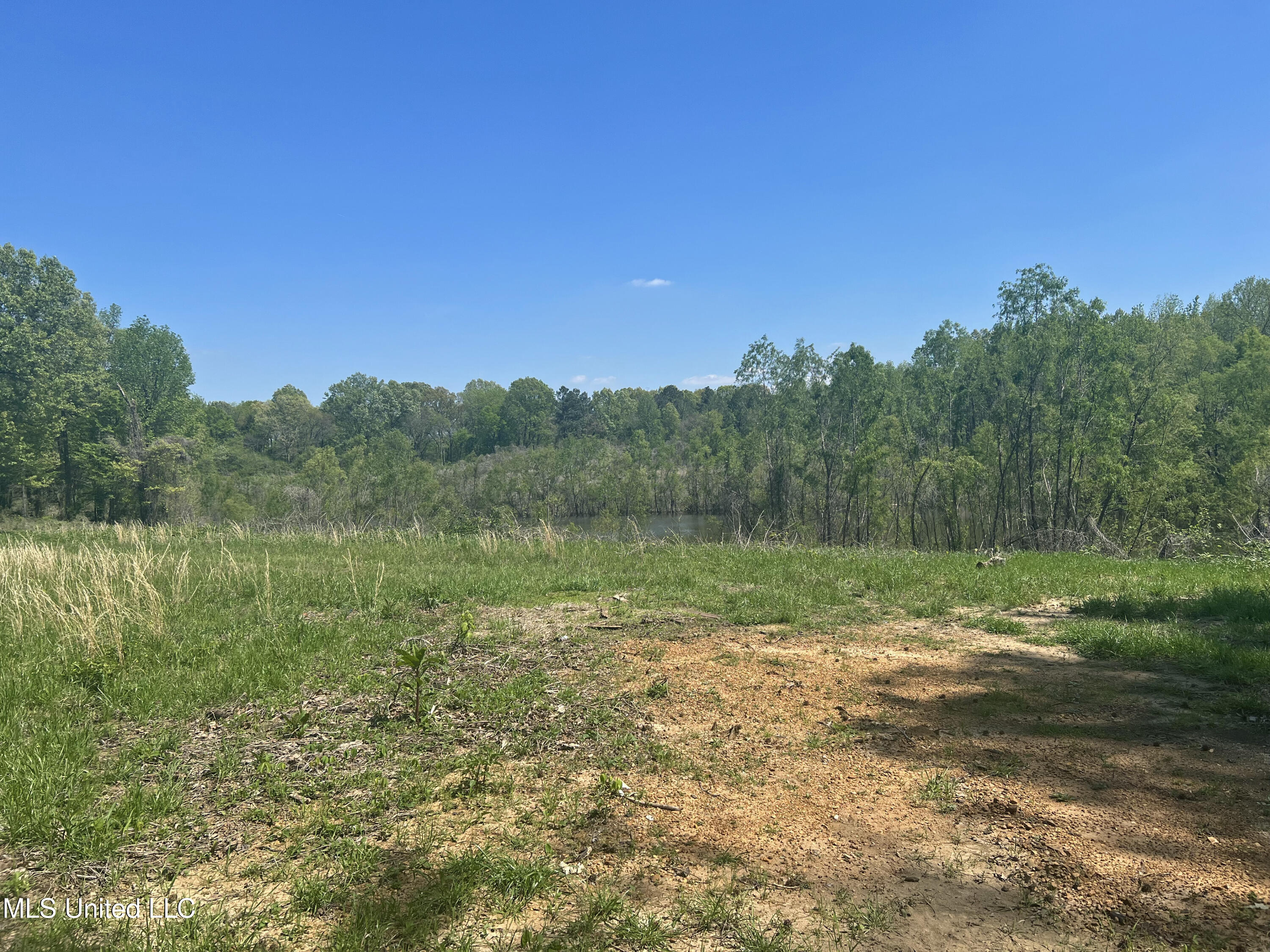 Highway 301s, Hernando, Mississippi image 10
