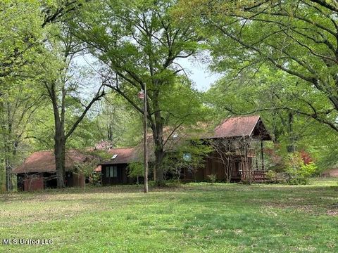 Homes For Sale - 448 Oakley Rd Road<br/> Senatobia, MS 38668
