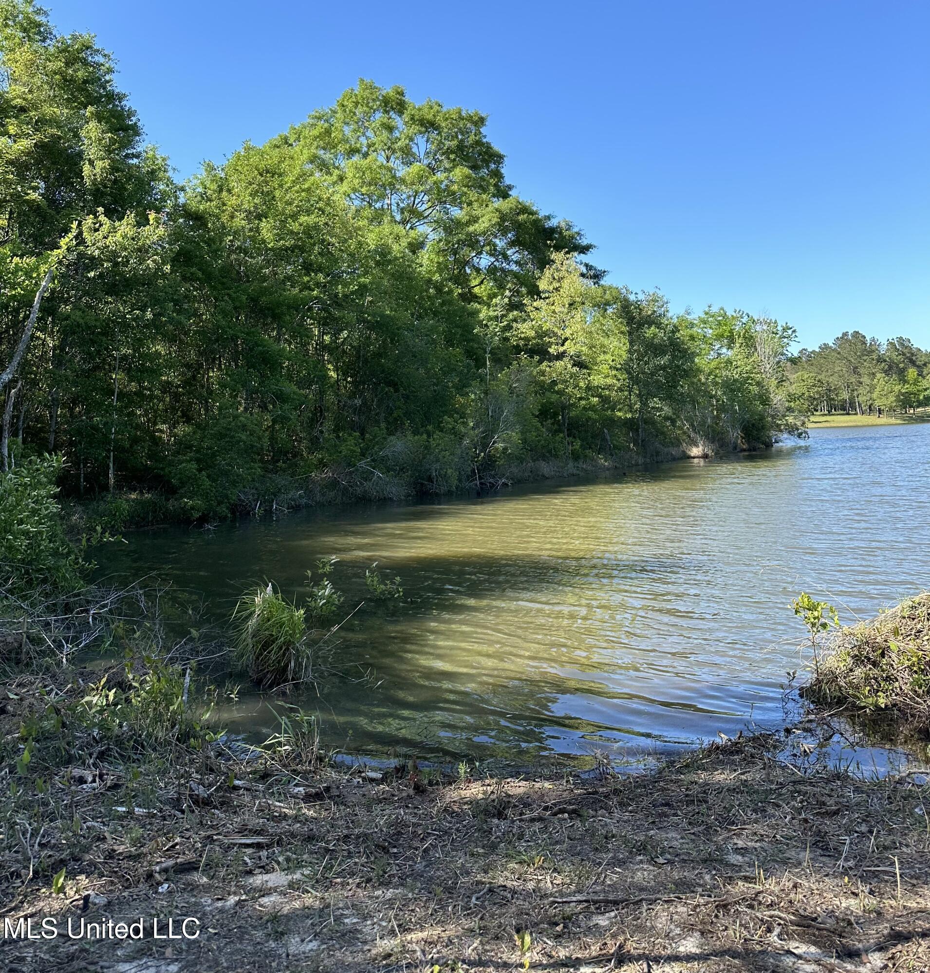 Springfield Drive, Lumberton, Mississippi image 3