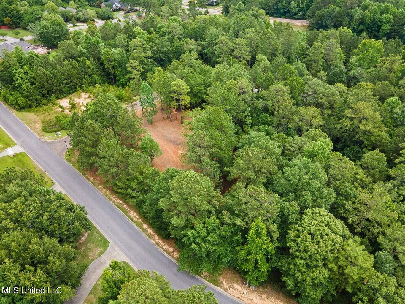 00 Shadow Lake Drive, Hattiesburg, Mississippi image 9