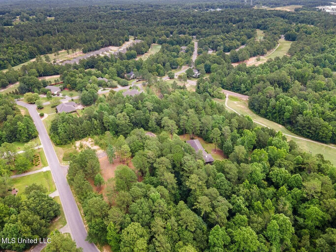 00 Shadow Lake Drive, Hattiesburg, Mississippi image 2