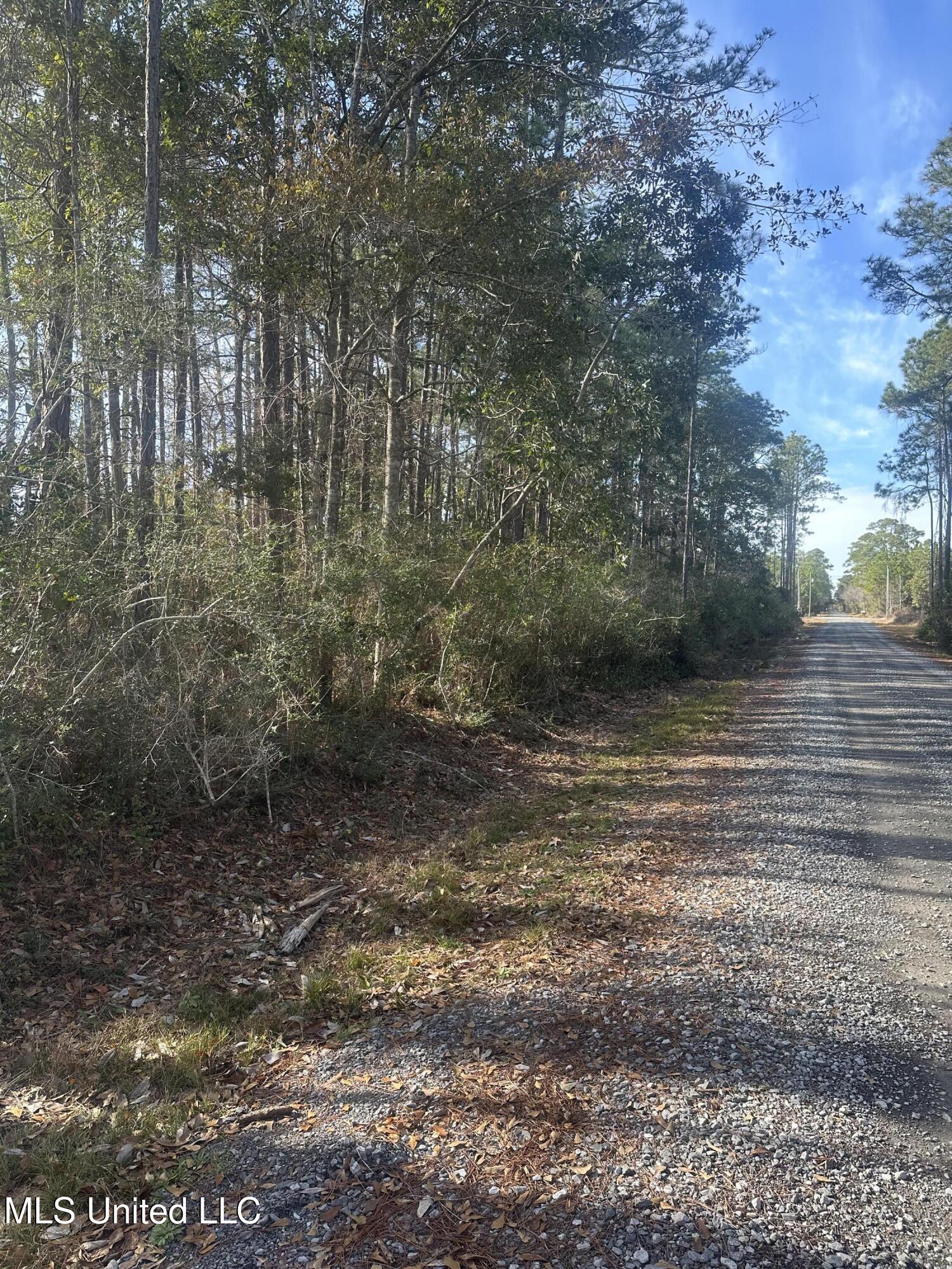 Pine Street, Ocean Springs, Mississippi image 2