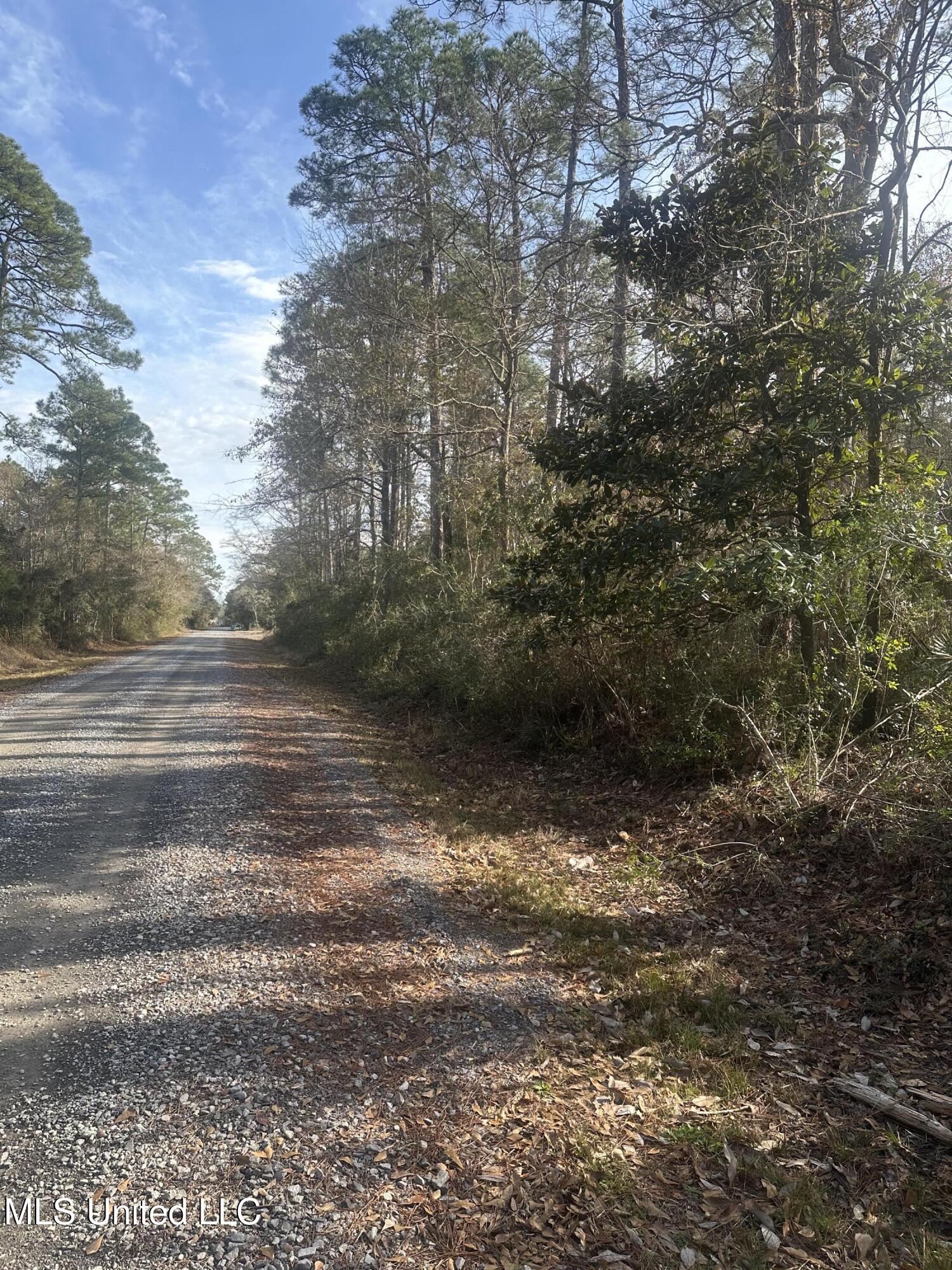 Pine Street, Ocean Springs, Mississippi image 3