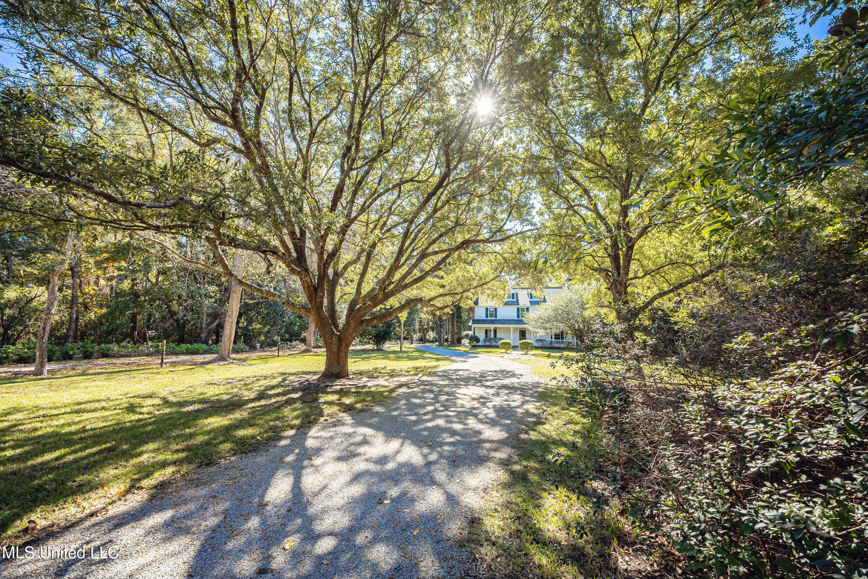 3708 Government Street, Ocean Springs, Mississippi image 4