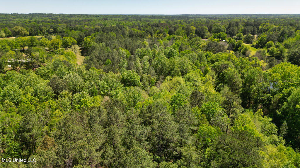 Poplar Springs Road, Mendenhall, Mississippi image 6