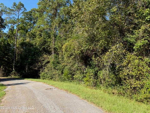 Vacant Land For Sale - 7 +/- AC Fork Road<br/> Lucedale, MS 39452