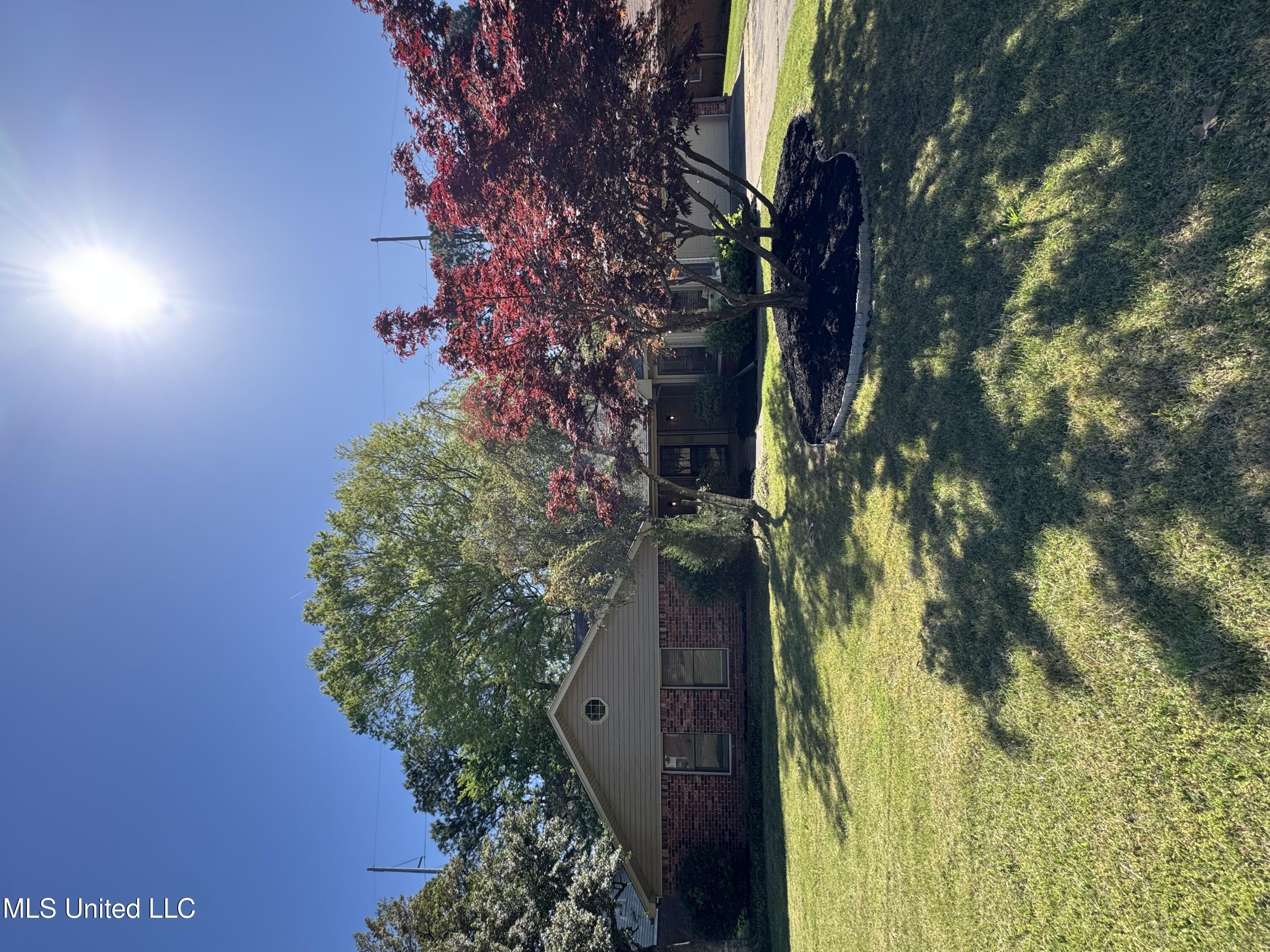6540 Timber Pine Drive, Southaven, Mississippi image 1