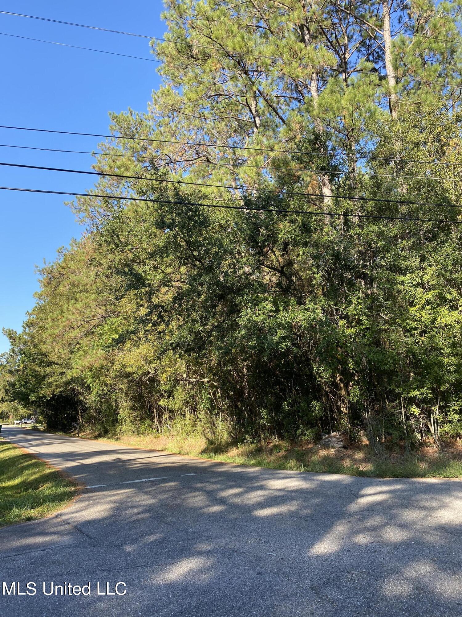 Elm Street, Picayune, Mississippi image 1