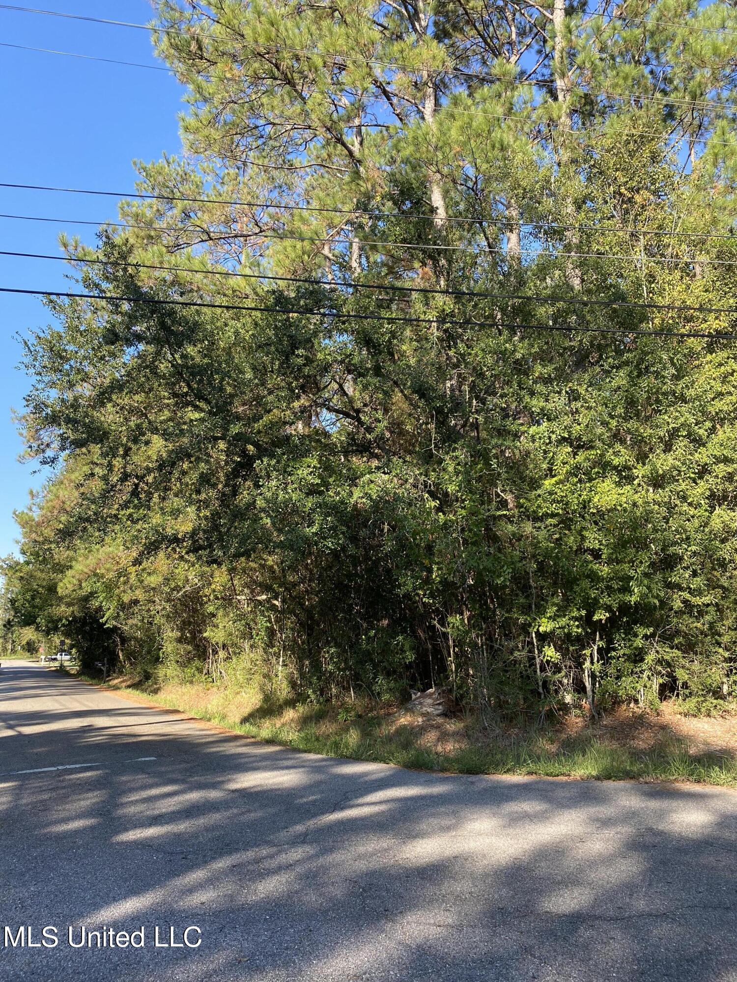 Elm Street, Picayune, Mississippi image 4