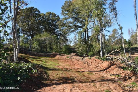 Vacant Land For Sale - 3 Marianna Road<br/> Marshall County, Holly Springs, MS 38635