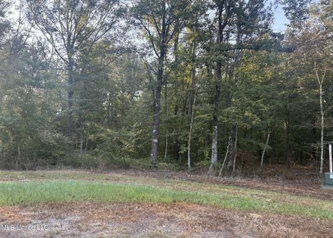 Vacant Land For Sale - 00 Friendship Circle<br/> Forest, MS 39074