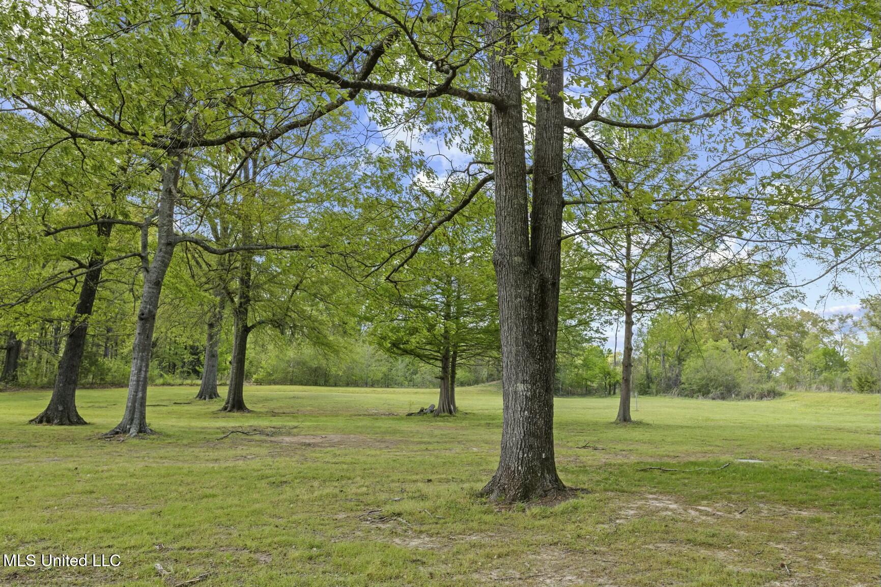 1475 Ranger Road, Raymond, Mississippi image 7