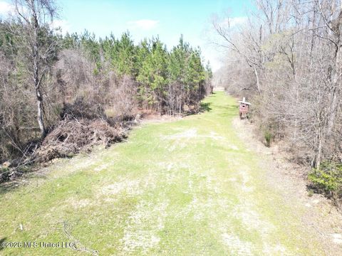 Vacant Land For Sale - 3228 Highway 548<br/> Claiborne County, Hermanville, MS 39086