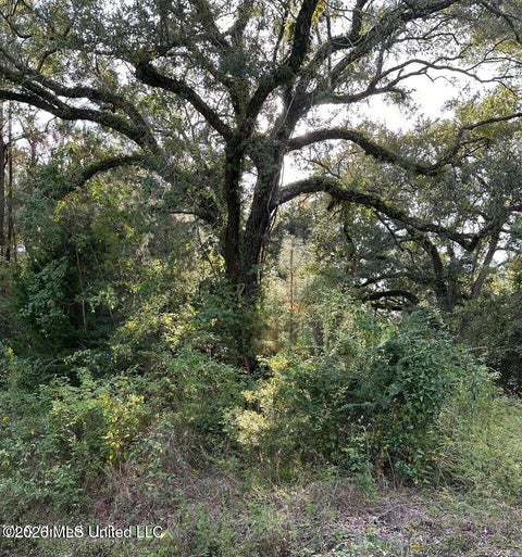 Vacant Land For Sale - 6611 Omaha Street<br/> Biloxi, MS 39532
