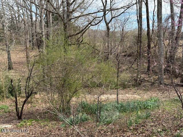 874 Gray Academy Road, Ashland, Mississippi image 27