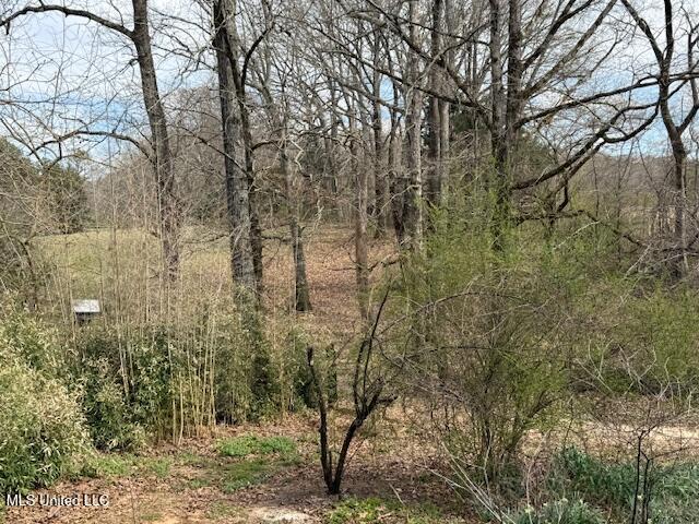 874 Gray Academy Road, Ashland, Mississippi image 28