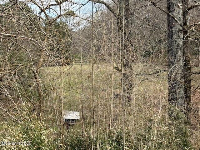 874 Gray Academy Road, Ashland, Mississippi image 26
