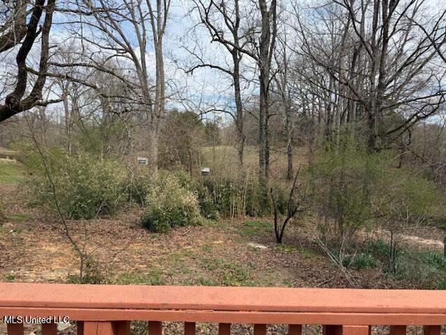 874 Gray Academy Road, Ashland, Mississippi image 23