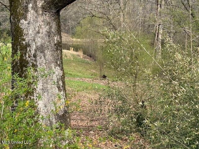 874 Gray Academy Road, Ashland, Mississippi image 25