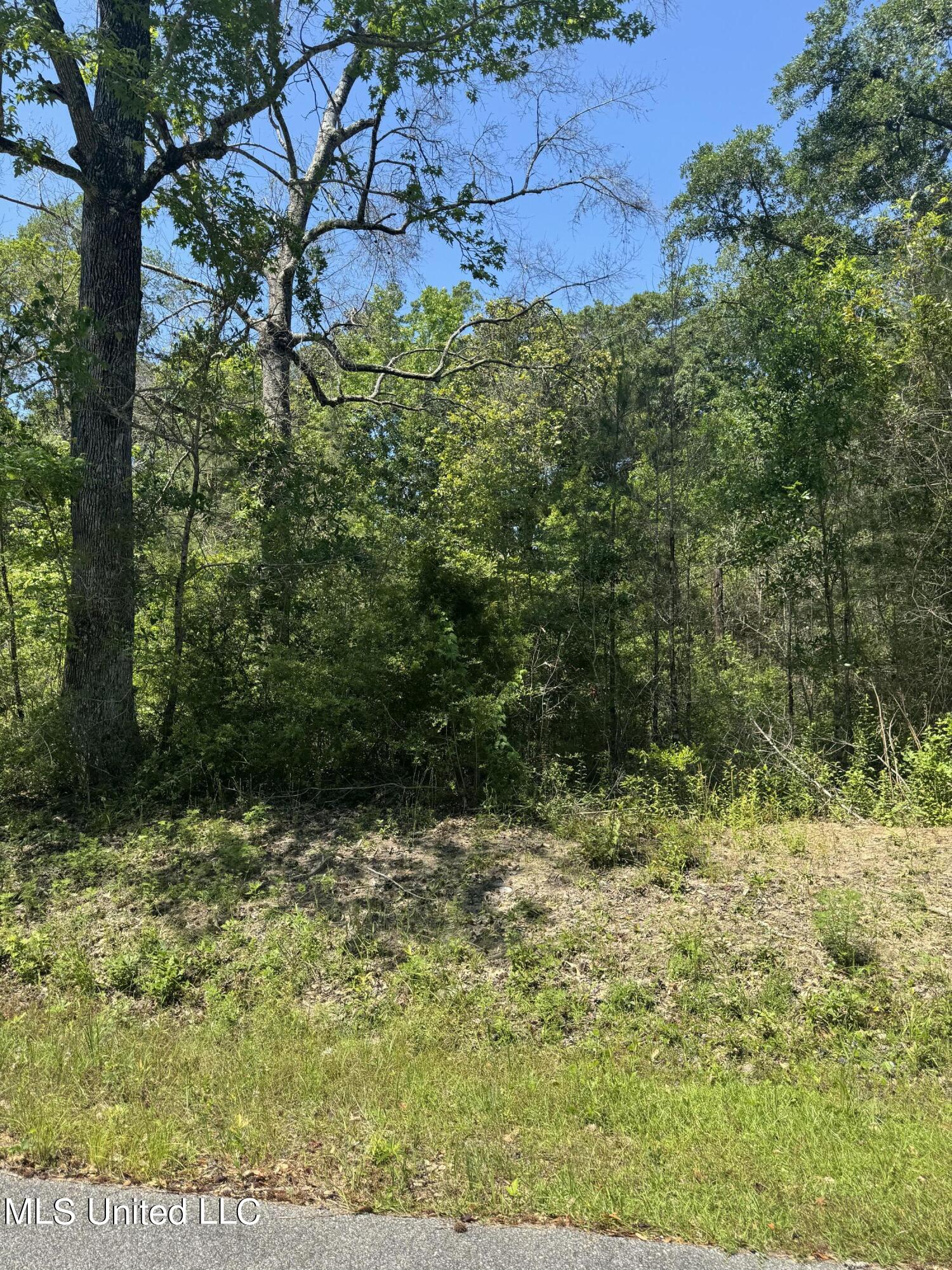 Juanita Street, Ocean Springs, Mississippi image 1