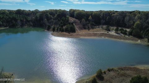 Vacant Land For Sale - E U.s. 49<br/> Bentonia, MS 39040