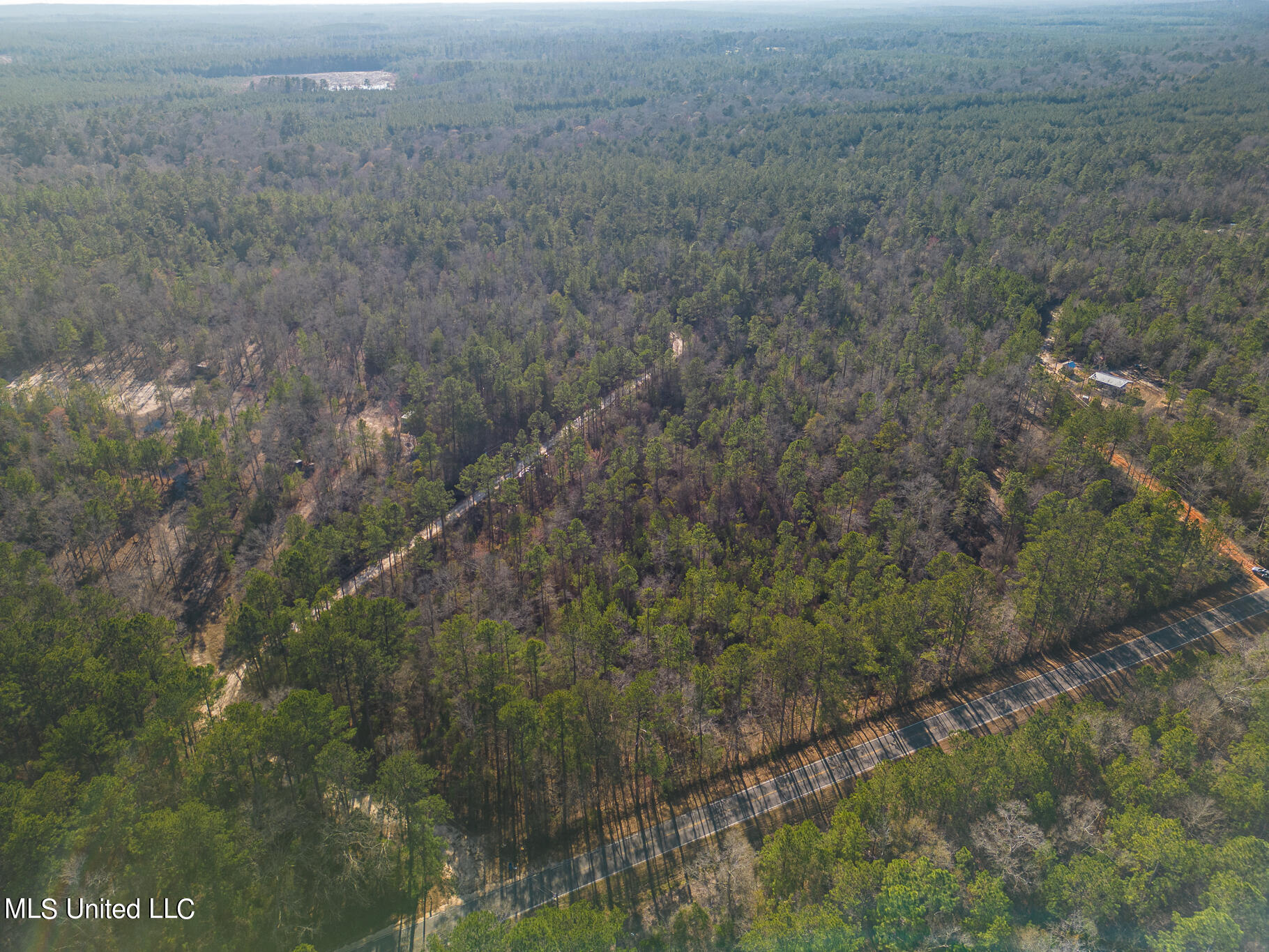 Tbd New Hope Road, Wiggins, Mississippi image 1