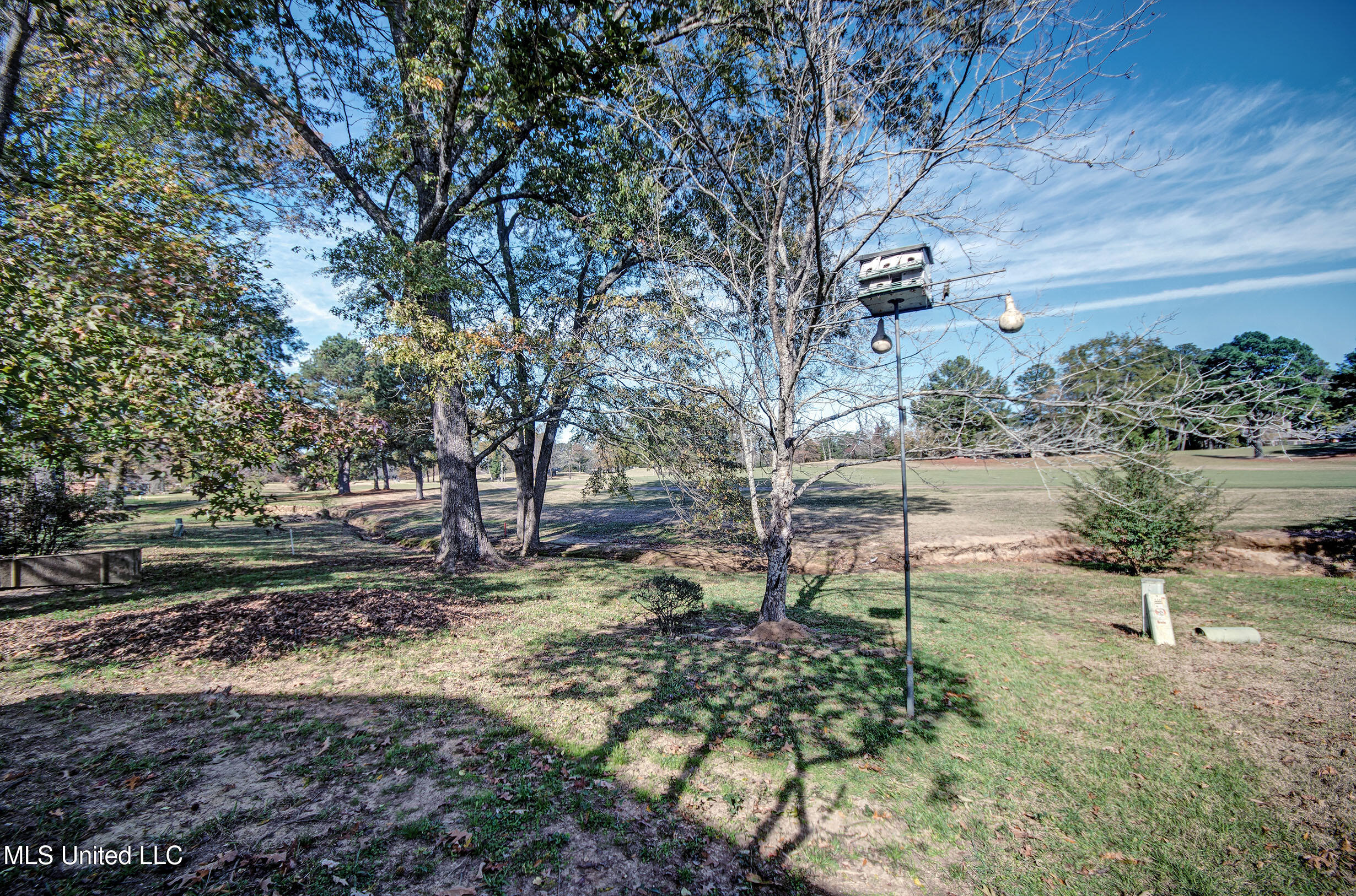 546 S Deerfield Drive, Canton, Mississippi image 9