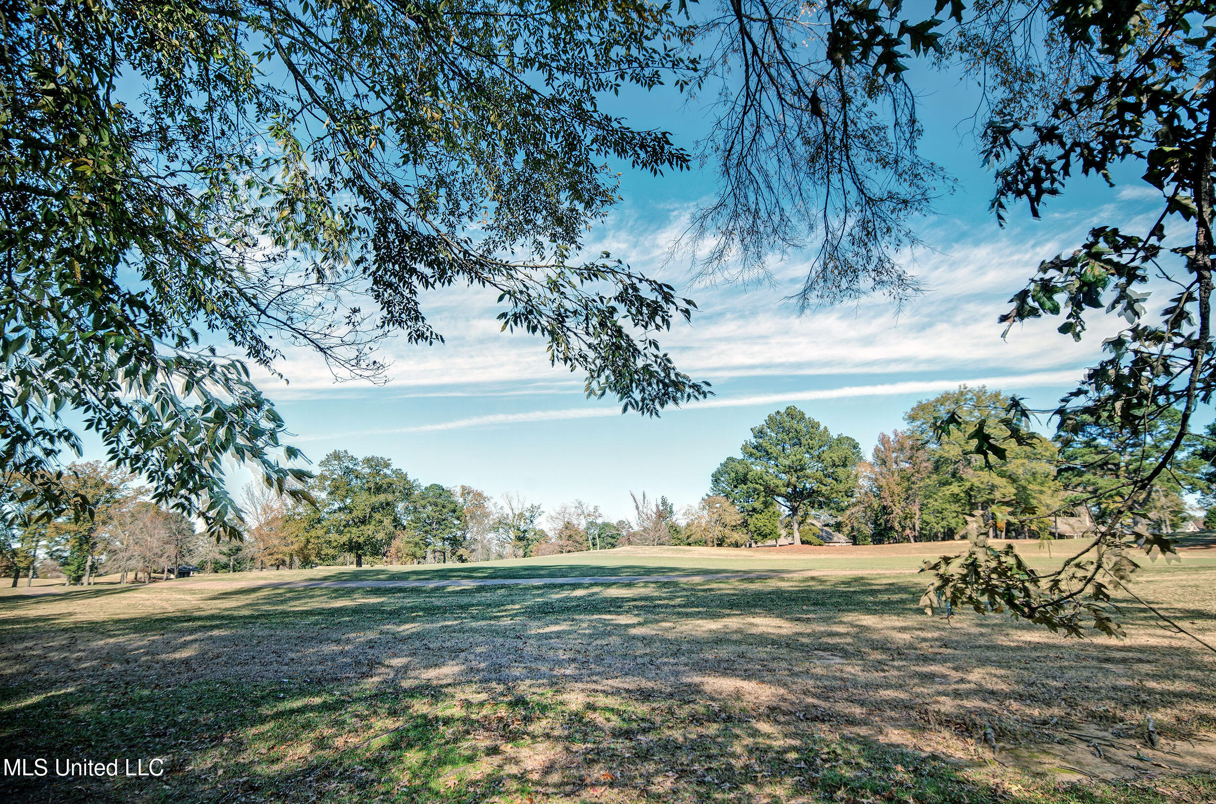 546 S Deerfield Drive, Canton, Mississippi image 7