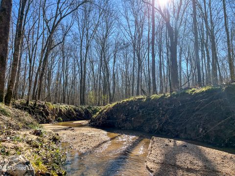 Vacant Land For Sale - Highway 505<br/> Newton County, Lawrence, MS 39336