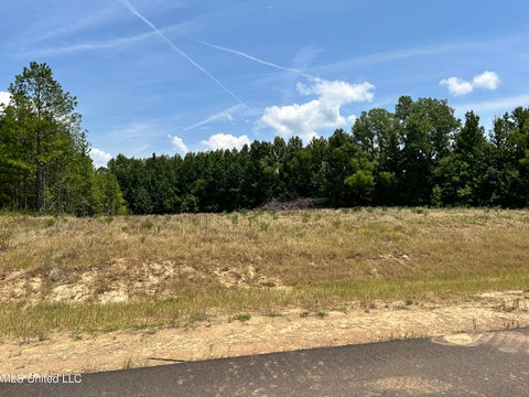 Vacant Land For Sale - 25 Riverwood Cove N<br/> Lake Cormorant, MS 38641