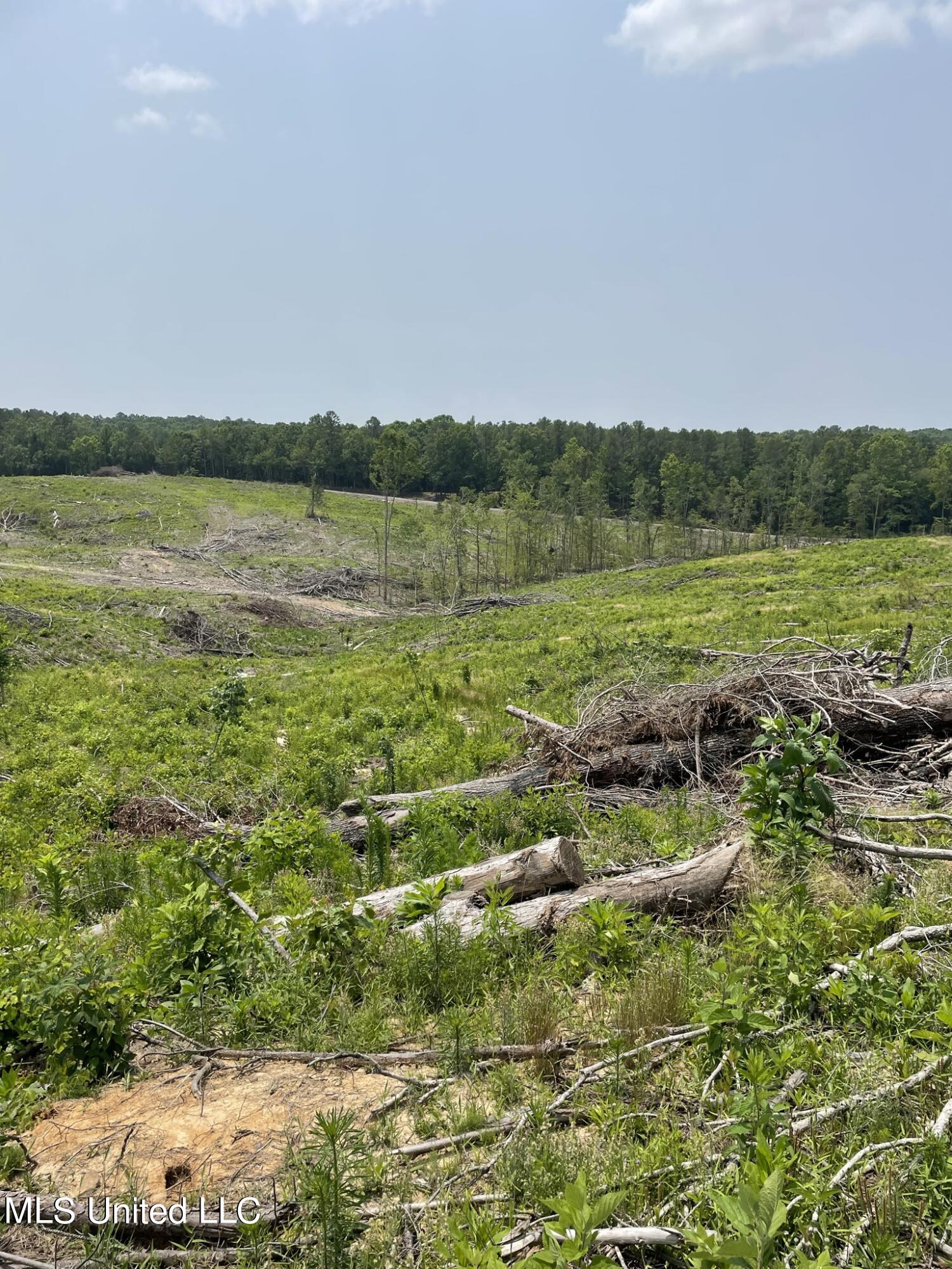 Hendrix/pine Grove Road, Coffeeville, Mississippi image 2