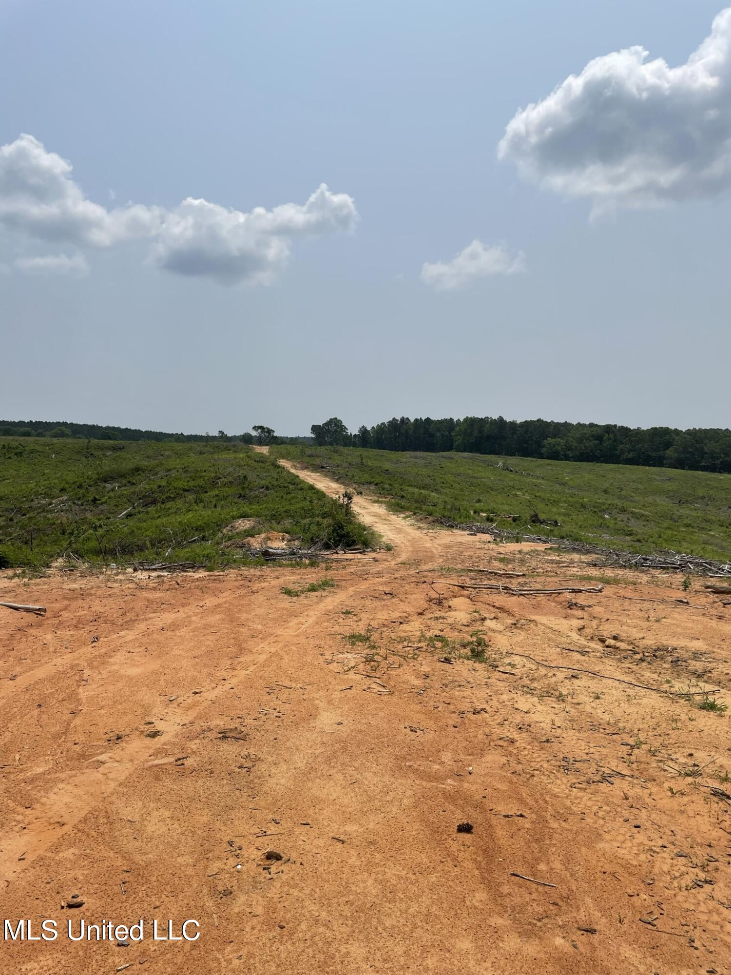 Hendrix/pine Grove Road, Coffeeville, Mississippi image 13